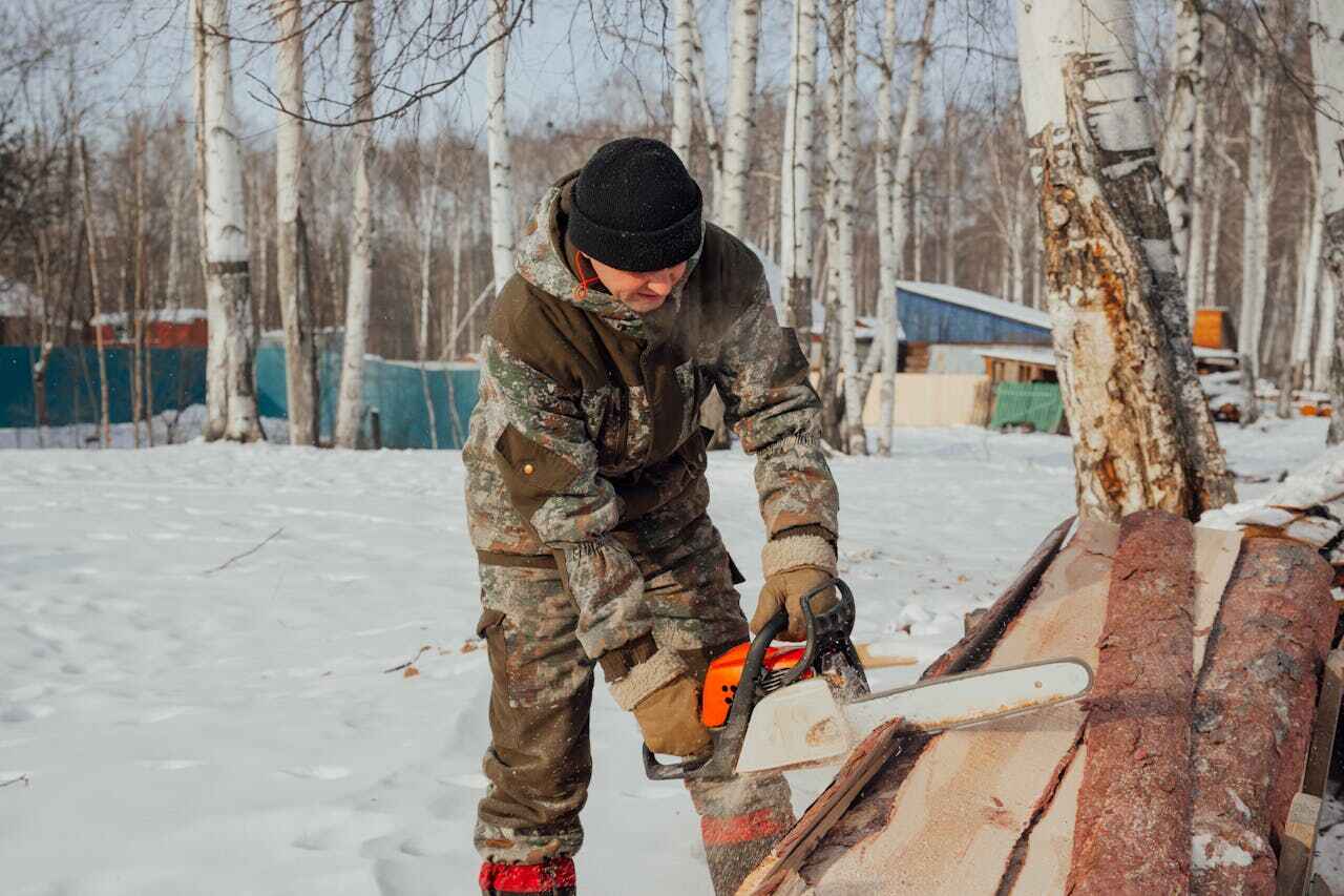 Emergency Storm Tree Removal in Briar, TX